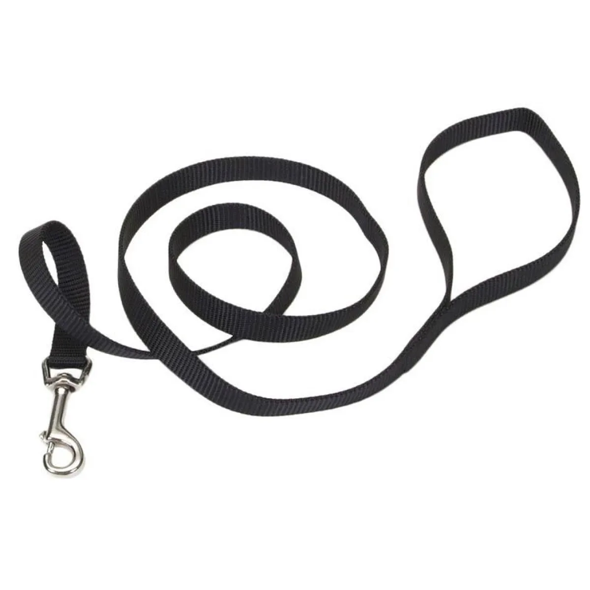 Ryan's Pet Supplies Coastal Nylon Leads 5/8" x 6'
