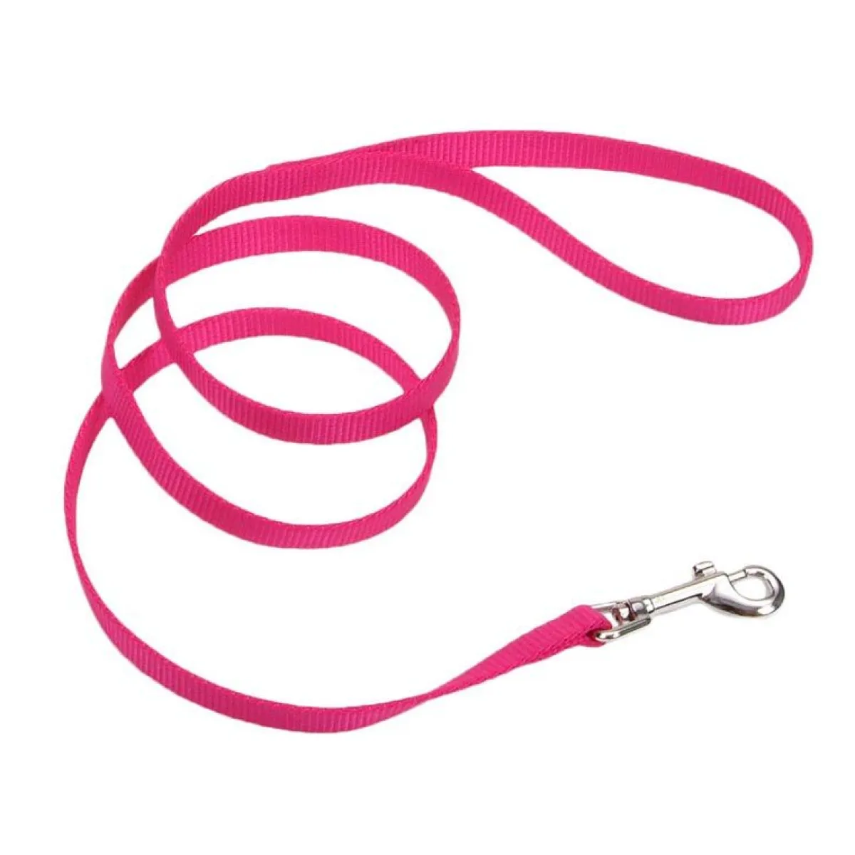 Ryan's Pet Supplies Coastal Nylon Leads 5/8" x 6'