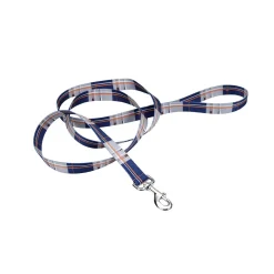 Ryan's Pet Supplies Coastal Nylon Leads 4' X 1''