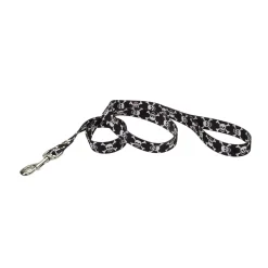 Ryan's Pet Supplies Coastal Nylon Leads 4' X 1''