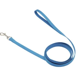 Ryan's Pet Supplies Coastal Nylon Leads 4' X 5/8''