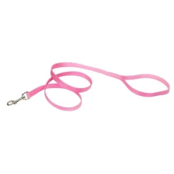 Ryan's Pet Supplies Coastal Nylon Leads 4' X 5/8''