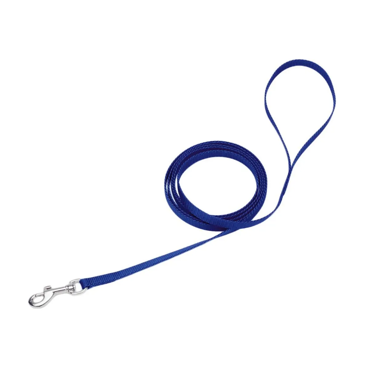 Ryan's Pet Supplies Coastal Nylon Leads 4' X 3/8''
