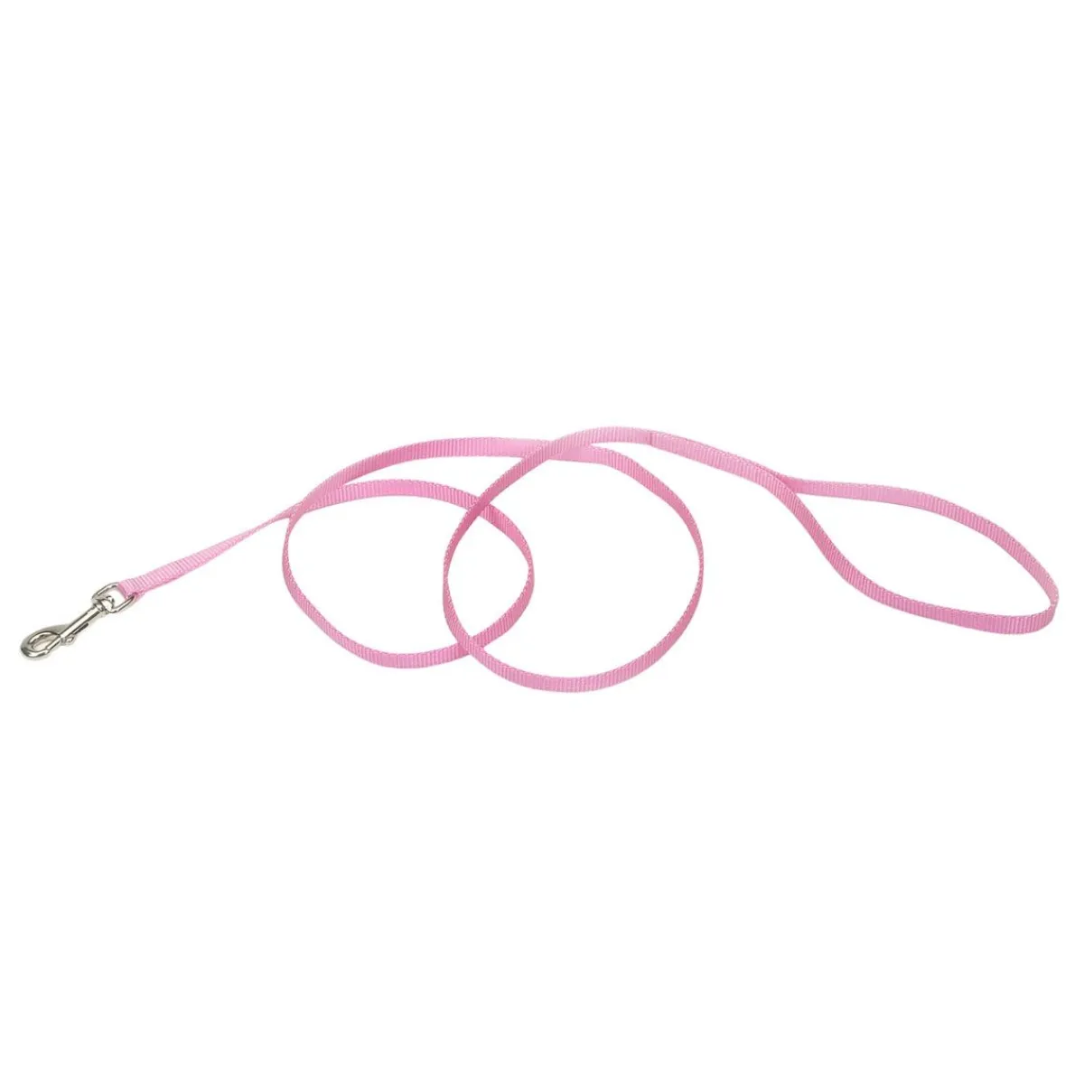 Ryan's Pet Supplies Coastal Nylon Leads 4' X 3/8''