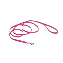 Ryan's Pet Supplies Coastal Nylon Leads 4' X 3/8''