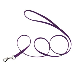 Ryan's Pet Supplies Coastal Nylon Leads 4' X 3/8''