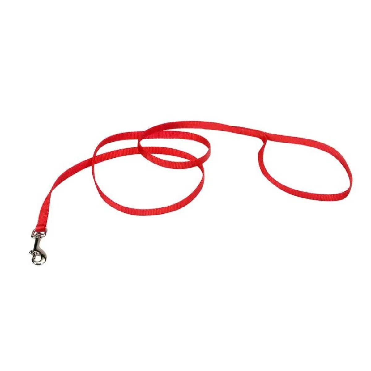 Ryan's Pet Supplies Coastal Nylon Leads 4' X 3/8''
