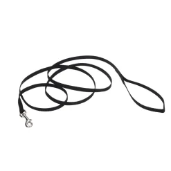 Ryan's Pet Supplies Coastal Nylon Leads 6' X 3/8''