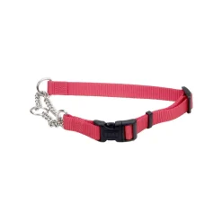 Ryan's Pet Supplies Coastal 3/4" Check Training Collar with Buckle (18" - 22")