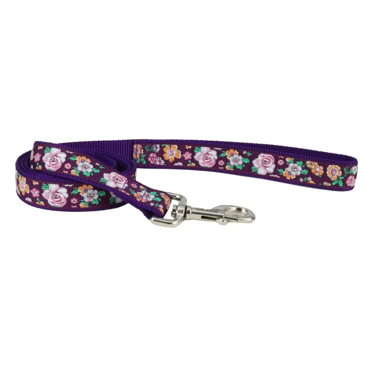 Ryan's Pet Supplies Coastal Ribbon Dog Leash 5/8" x 6'