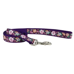 Ryan's Pet Supplies Coastal Single-Ply Ribbon Dog Leash 1" x 6'