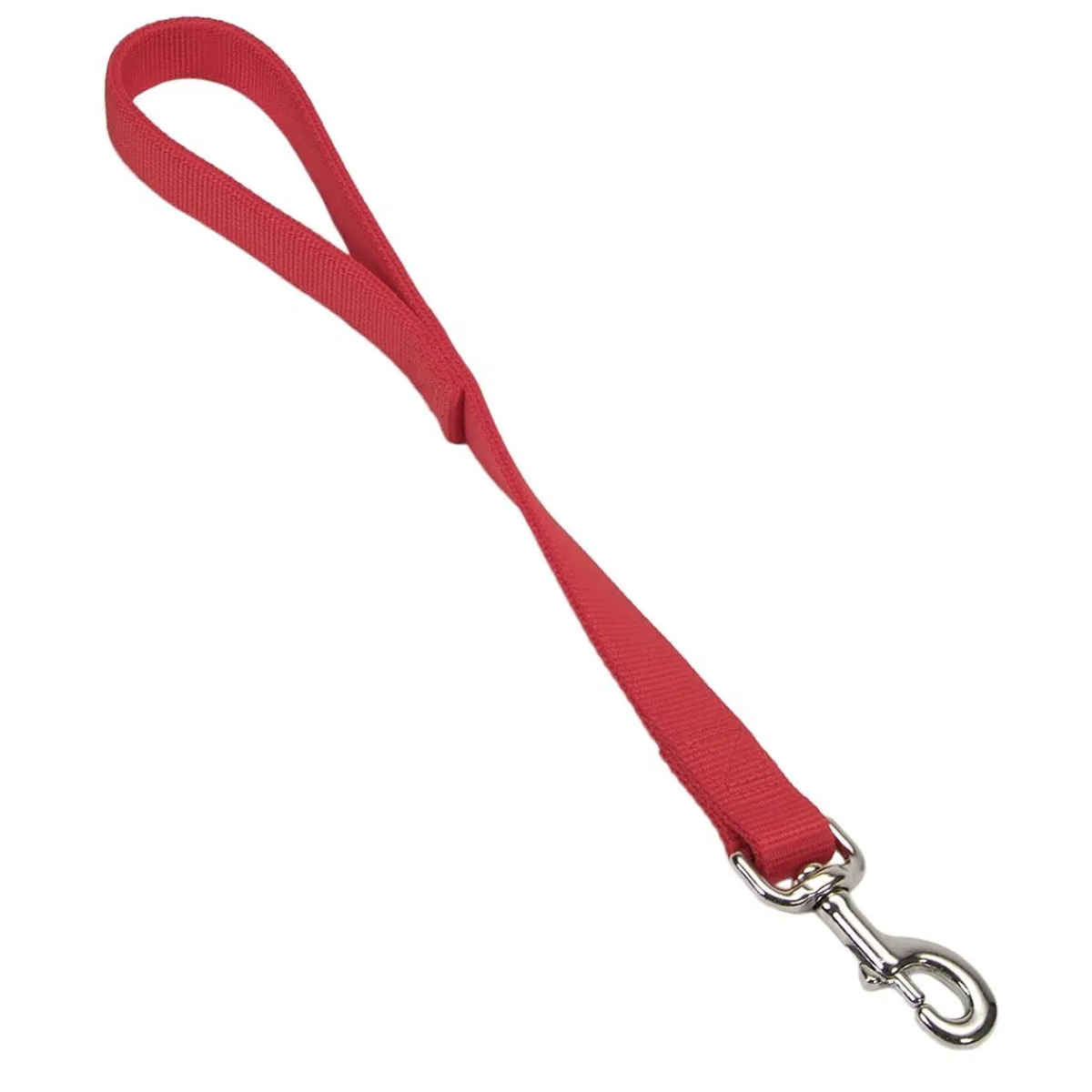Ryan's Pet Supplies Coastal Traffic Lead 2 Ply 1" x 24"