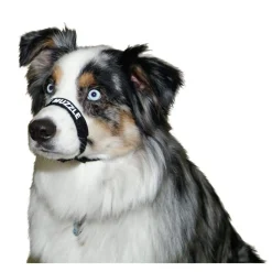 Ryan's Pet Supplies Comfort Muzzle Medium/Black 12"-18"