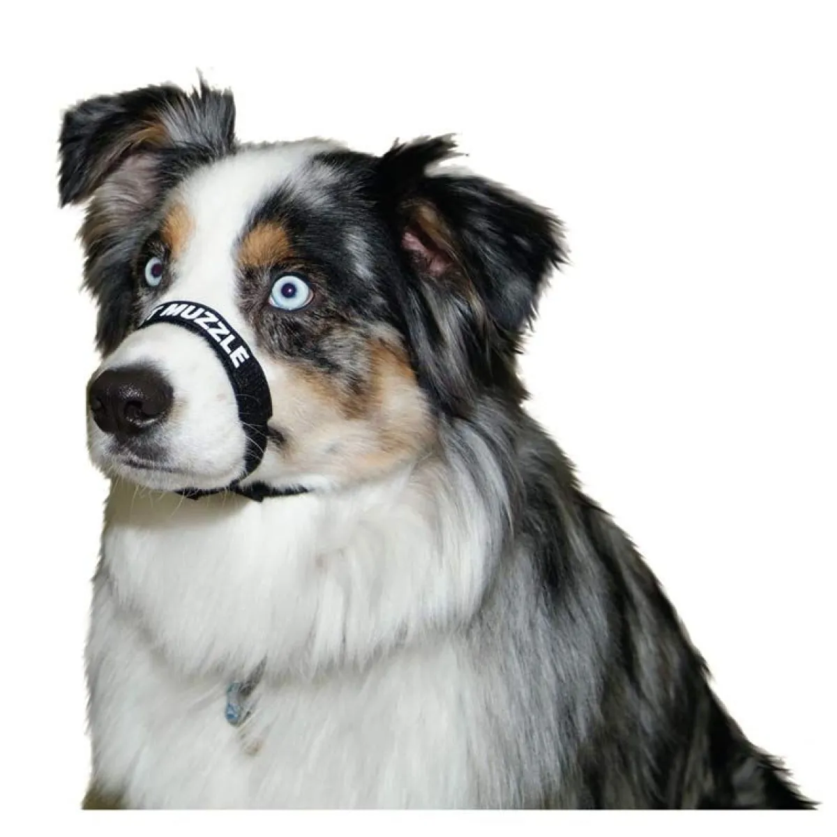 Ryan's Pet Supplies Comfort Muzzle Medium/Black 12"-18"