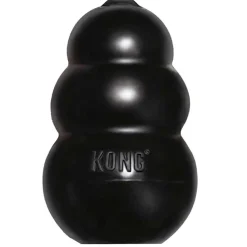 Ryan's Pet Supplies Extra Large KONG® Extreme 5"