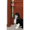 Ryan's Pet Supplies Flower Potty Training Bells