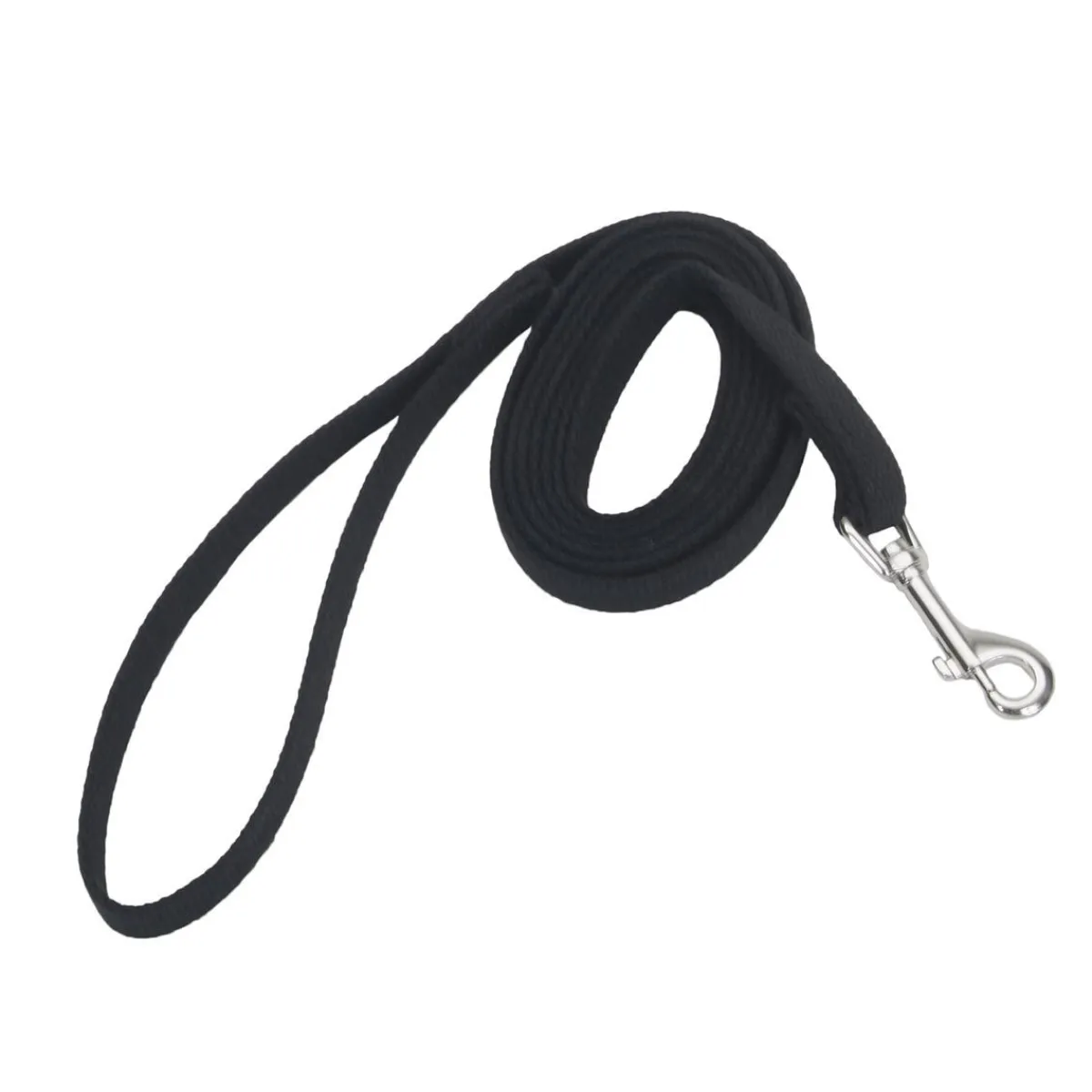 Ryan's Pet Supplies 10 Foot Coastal Training Leads