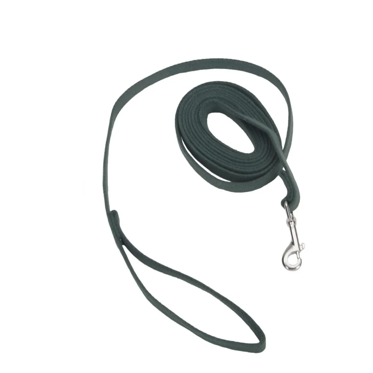 Ryan's Pet Supplies 10 Foot Coastal Training Leads