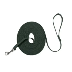 Ryan's Pet Supplies 15 Foot Coastal Training Leads