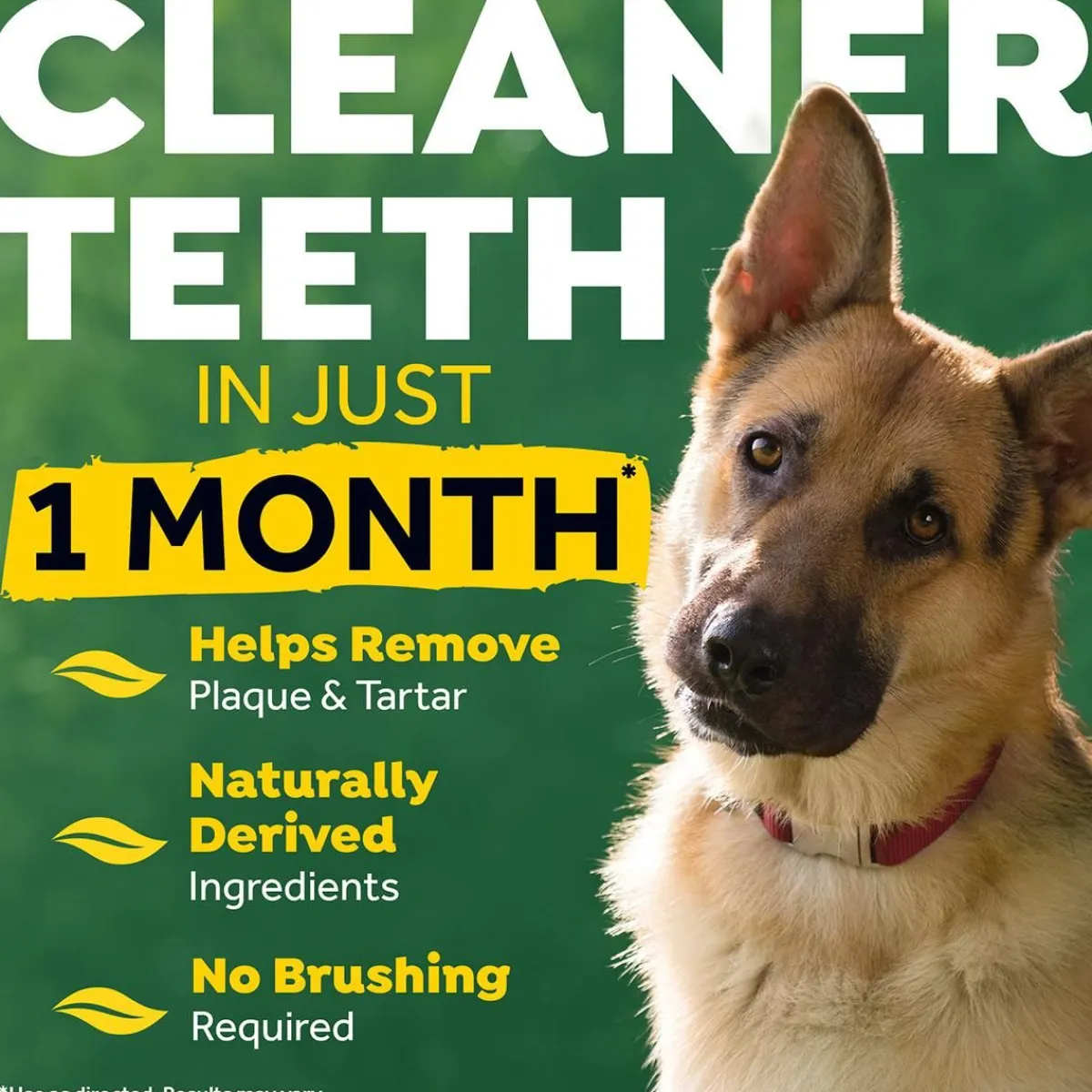 Ryan's Pet Supplies Fresh Breath by TropiClean Clean Teeth Oral Care Gel 2oz