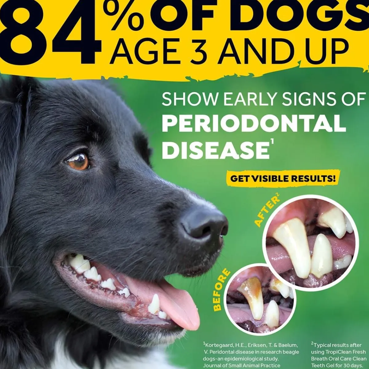 Ryan's Pet Supplies Fresh Breath by TropiClean Clean Teeth Oral Care Gel 2oz