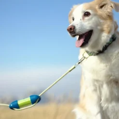 Ryan's Pet Supplies GreenLine LOOP Poop Bag Dispenser