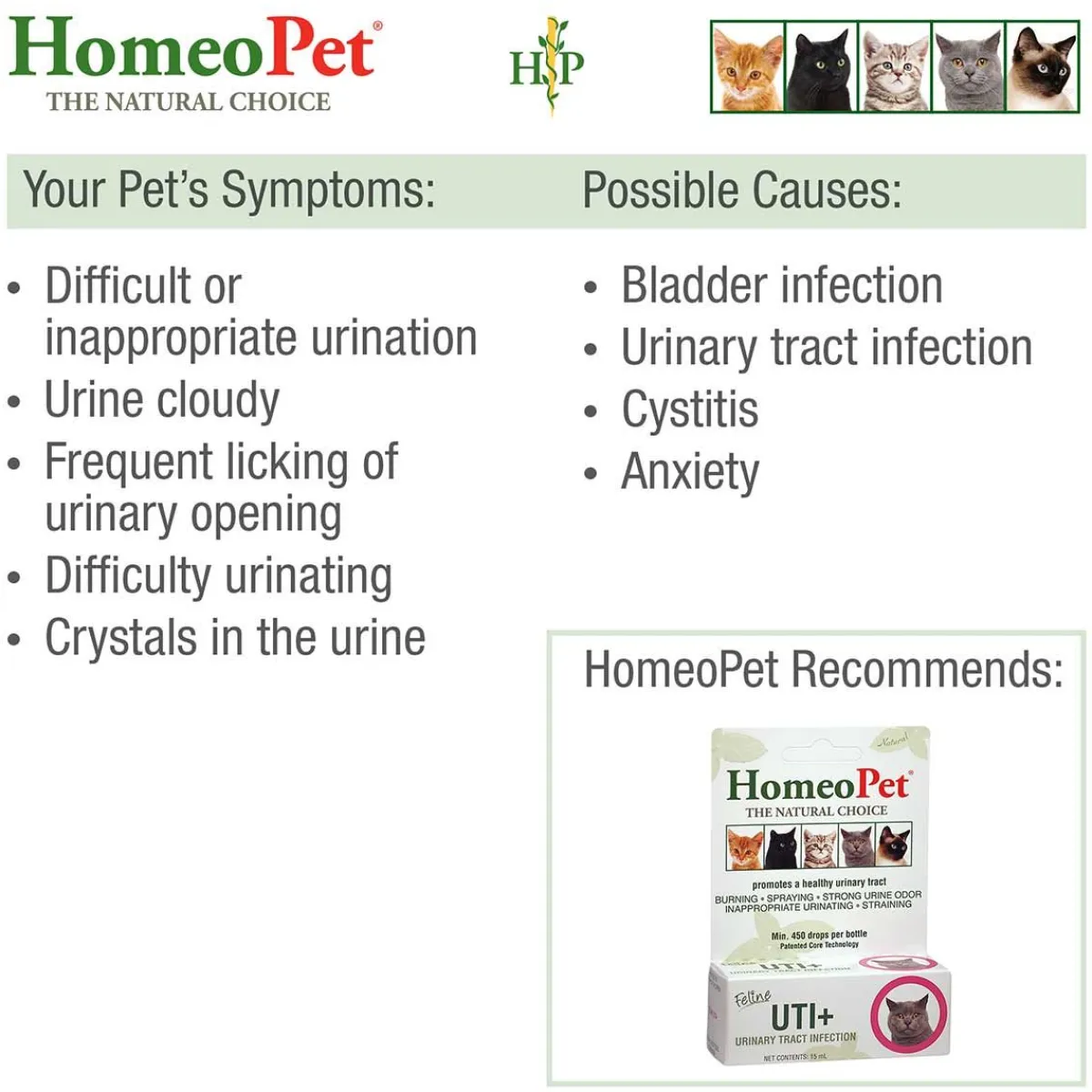 Ryan's Pet Supplies HomeoPet Feline UTI