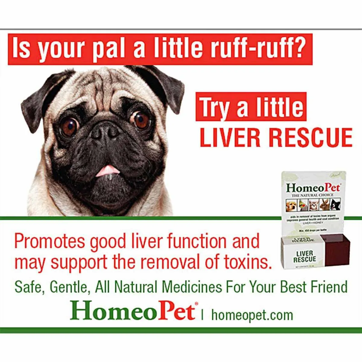 Ryan's Pet Supplies HomeoPet Liver Rescue