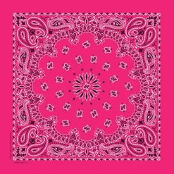 Ryan's Pet Supplies Hot Pink Paisley Dog Bandana