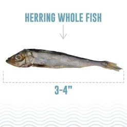 Ryan's Pet Supplies Icelandic+ Herring Whole Fish Healthy Dog Treats