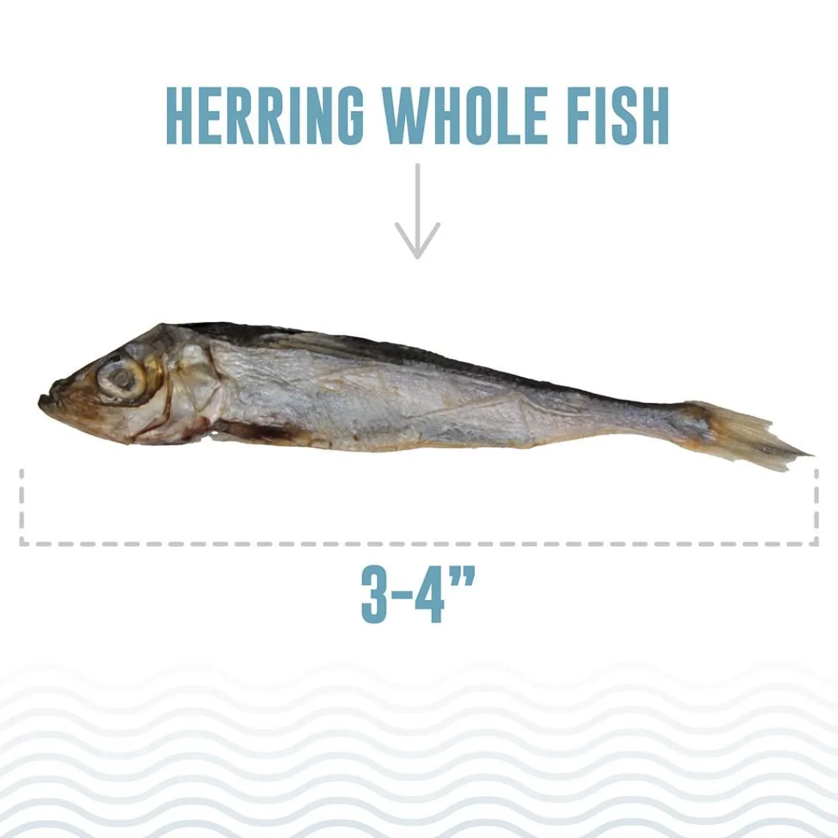 Ryan's Pet Supplies Icelandic+ Herring Whole Fish Healthy Dog Treats