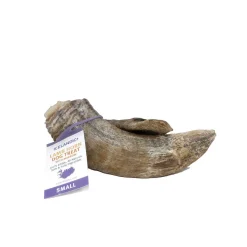 Ryan's Pet Supplies Icelandic+ Lamb Horn Dog Treat