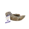 Ryan's Pet Supplies Icelandic+ Small Lamb Horn with Marrow
