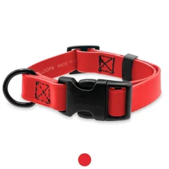 Ryan's Pet Supplies Jelly Pet BioThane® Dog Collar - Medium 1'' x 13''-20''