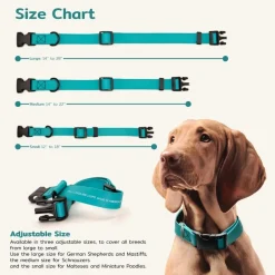 Ryan's Pet Supplies Jelly Pet BioThane® Dog Collar - Medium 1'' x 13''-20''