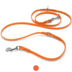 Ryan's Pet Supplies Jelly Pet Biothane Multi-Purpose Dog Leash - 5/8''