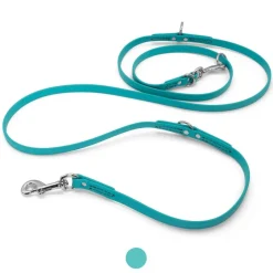 Ryan's Pet Supplies Jelly Pet Biothane Multi-Purpose Dog Leash 3/8''