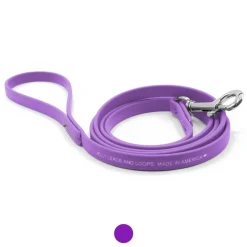 Ryan's Pet Supplies Jelly Pet Leash Standard Dog Leash 3/8'' x 6'