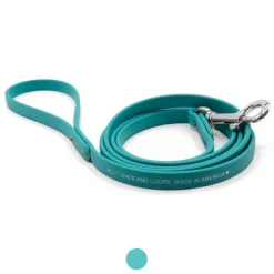 Ryan's Pet Supplies Jelly Pet Leash Standard Dog Leash 3/8'' x 6'
