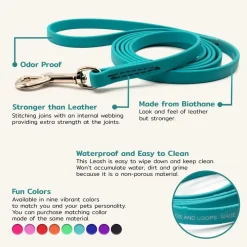Ryan's Pet Supplies Jelly Pet Leash Standard Dog Leash 3/8'' x 6'