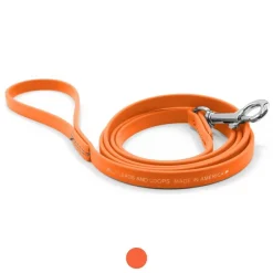 Ryan's Pet Supplies Jelly Pet Leash Standard Dog Leash 3/8'' x 6'