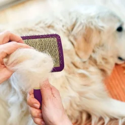 Ryan's Pet Supplies Jelly Pet Pivoting Slicker Brush