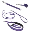 Ryan's Pet Supplies Jelly Pet Pro Pack