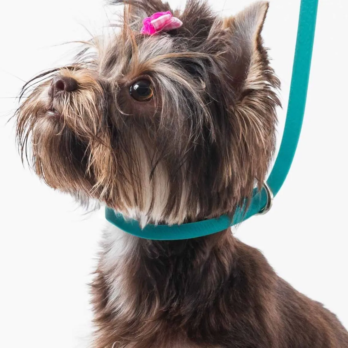 Ryan's Pet Supplies Jelly Pet Slip Style Grooming Loop 3/8" x 25"
