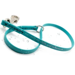 Ryan's Pet Supplies Jelly Pet Slip Style Grooming Loop 3/8" x 25"