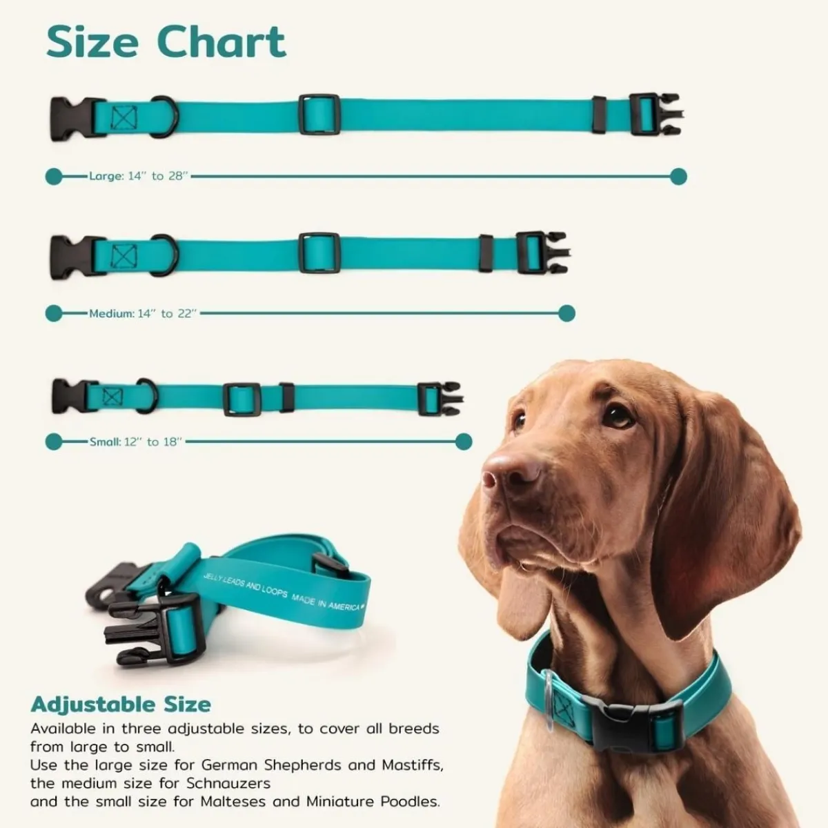 Ryan's Pet Supplies Jelly Pet Small Dog Collar 3/4" x 11''-16''