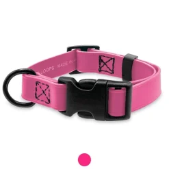 Ryan's Pet Supplies Jelly Pet Small Dog Collar 3/4" x 11''-16''