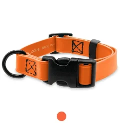 Ryan's Pet Supplies Jelly Pet Small Dog Collar 3/4" x 11''-16''