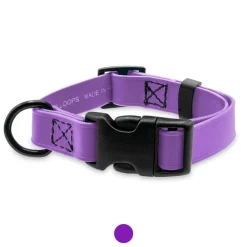 Ryan's Pet Supplies Jelly Pet Small Dog Collar 3/4" x 11''-16''