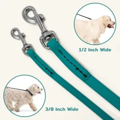 Ryan's Pet Supplies Jelly Pet Waterproof Standard Dog Leash - 1/2'' x 6'